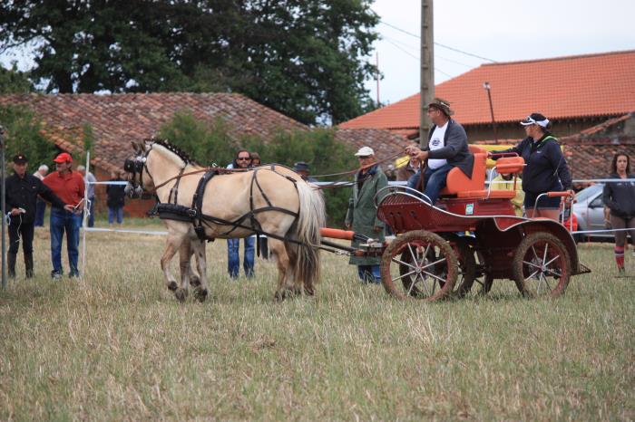 attelage-escayre-2016 (37)