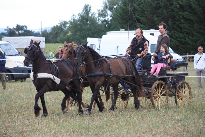 attelage-escayre-2016 (80)