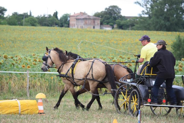 attelage-escayre-2016 (64)