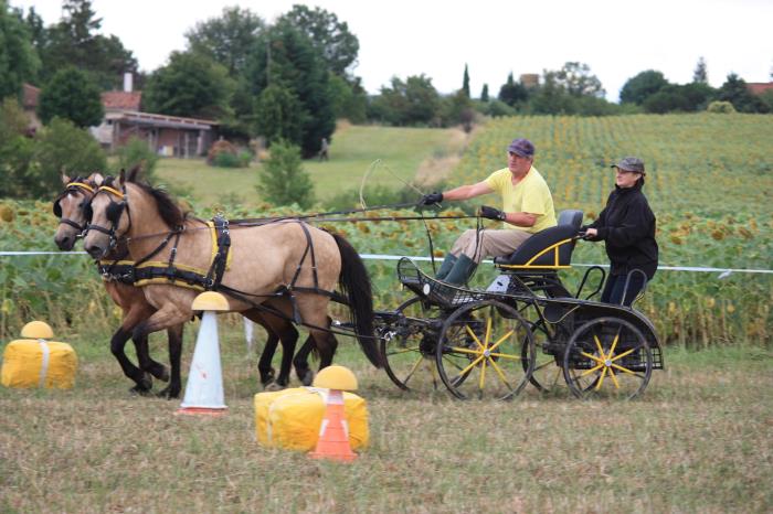 attelage-escayre-2016 (65)