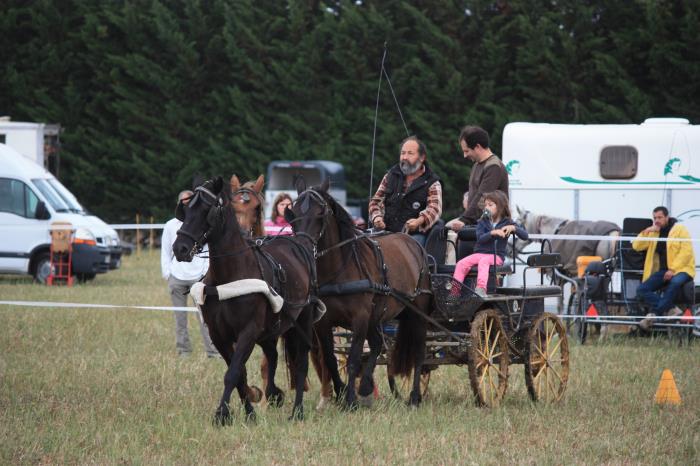 attelage-escayre-2016 (79)