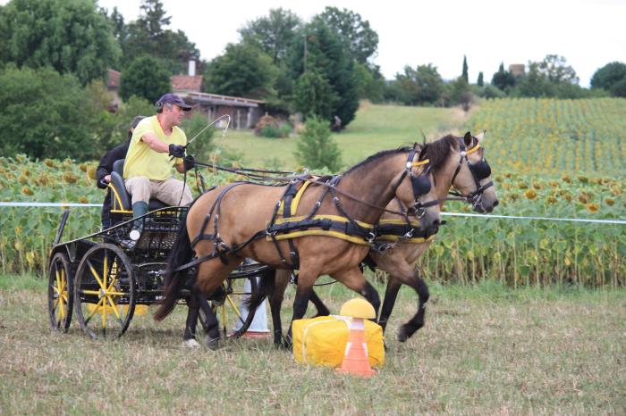 attelage-escayre-2016 (66)