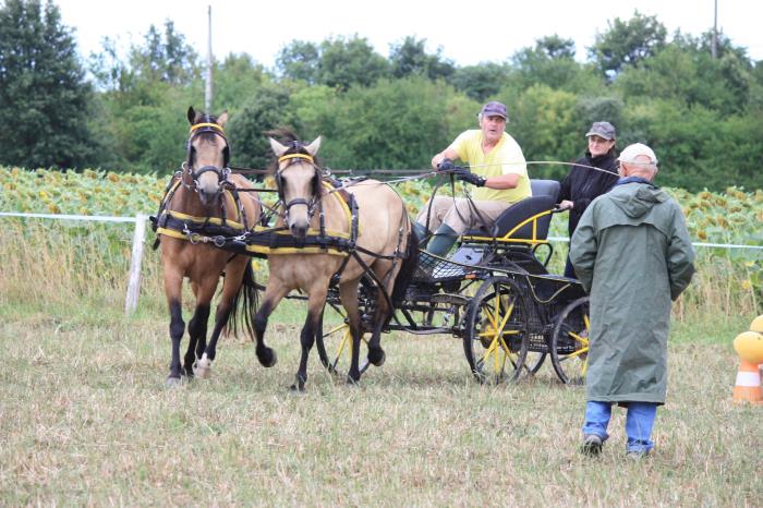 attelage-escayre-2016 (60)