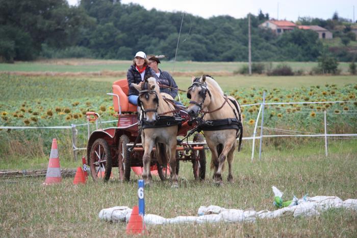 attelage-escayre-2016 (138)