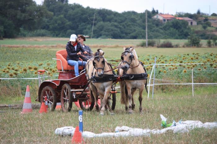 attelage-escayre-2016 (137)