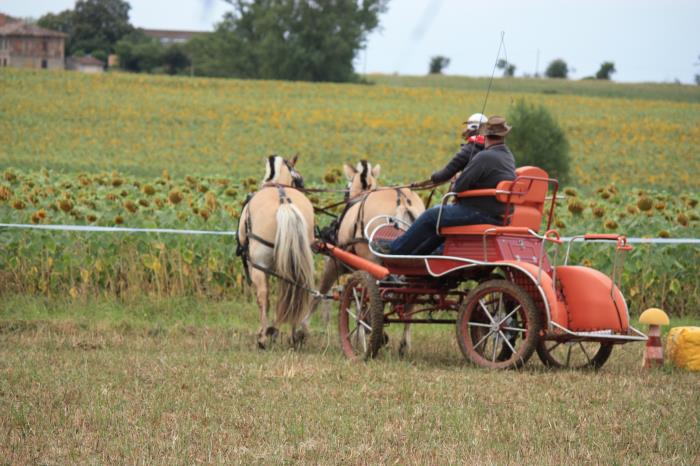 attelage-escayre-2016 (139)