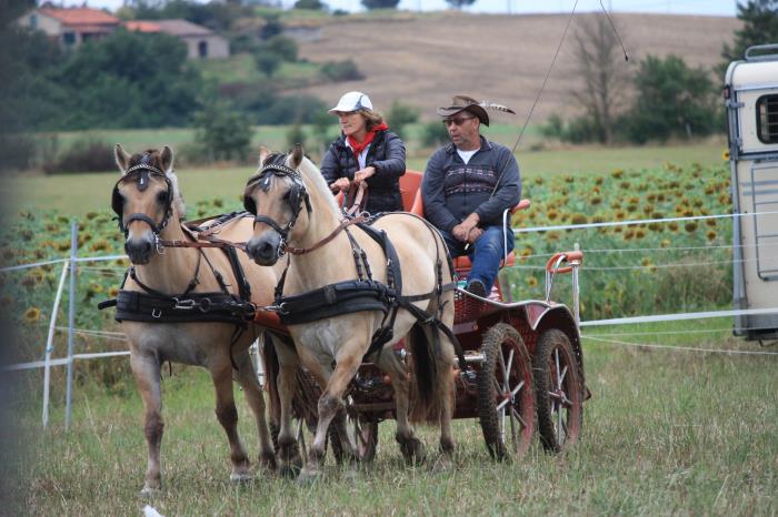 attelage-escayre-2016 (135)