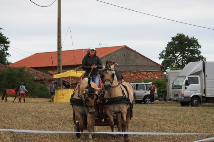 attelage-escayre-2016 (99)