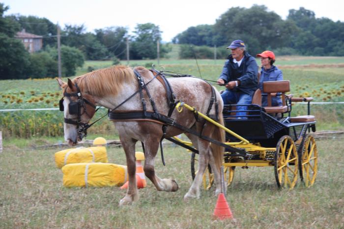 attelage-escayre-2016 (102)