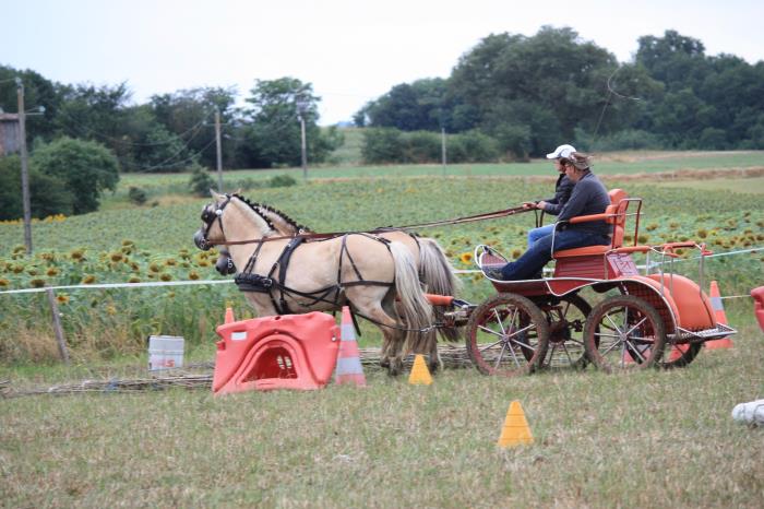 attelage-escayre-2016 (136)