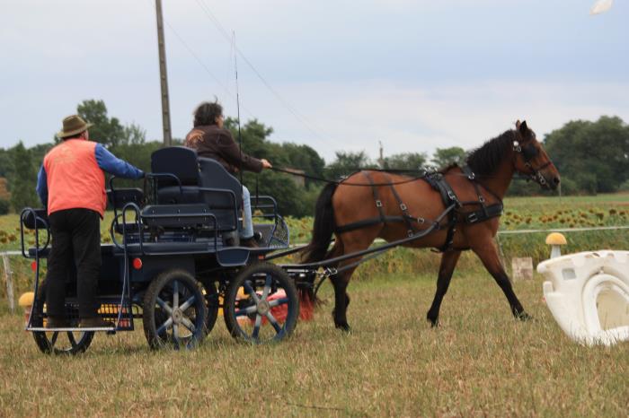 attelage-escayre-2016 (167)