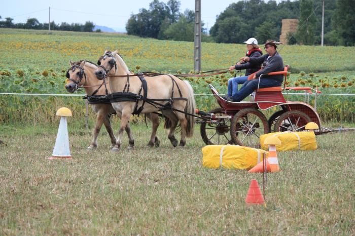 attelage-escayre-2016 (146)