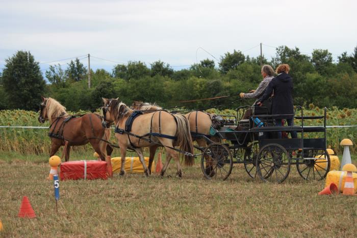 attelage-escayre-2016 (180)