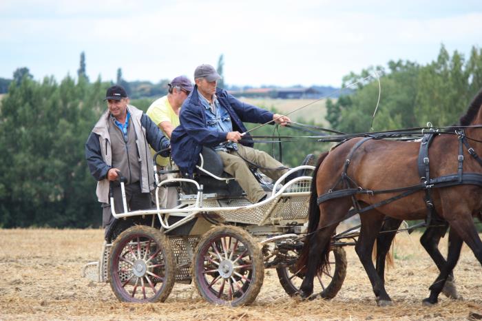 attelage-escayre-2016 (168)