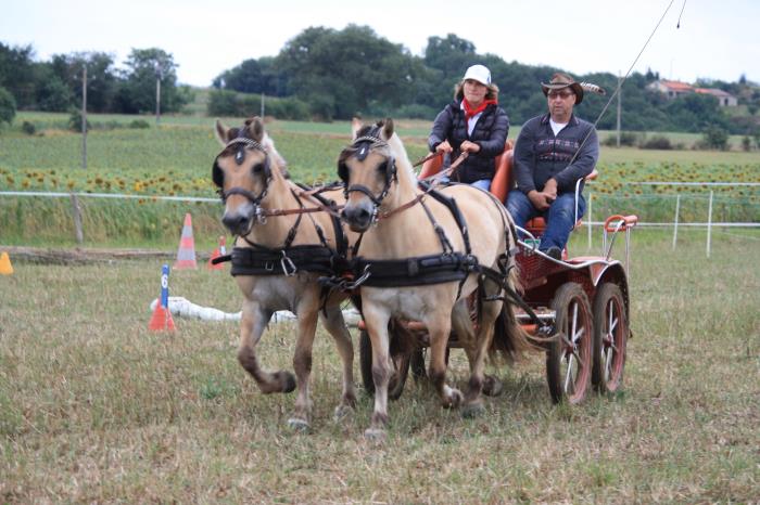 attelage-escayre-2016 (155)