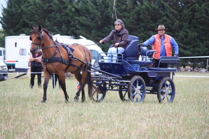 attelage-escayre-2016 (160)