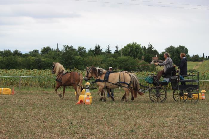 attelage-escayre-2016 (178)