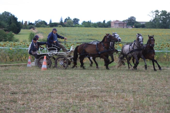 attelage-escayre-2016 (228)