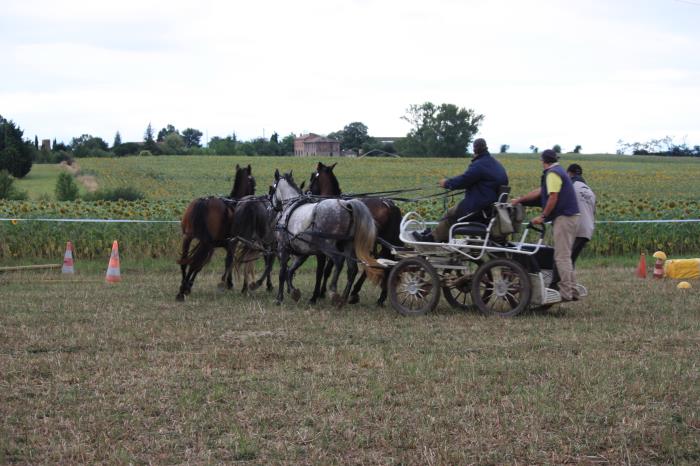 attelage-escayre-2016 (220)