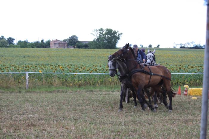 attelage-escayre-2016 (229)