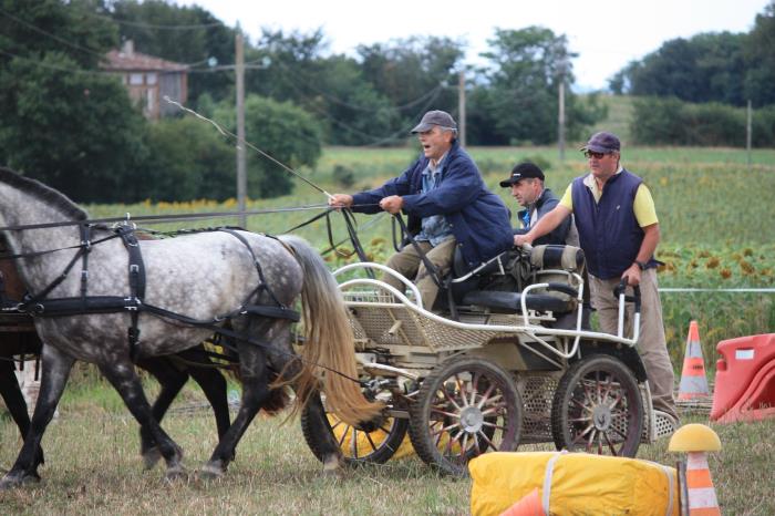 attelage-escayre-2016 (223)