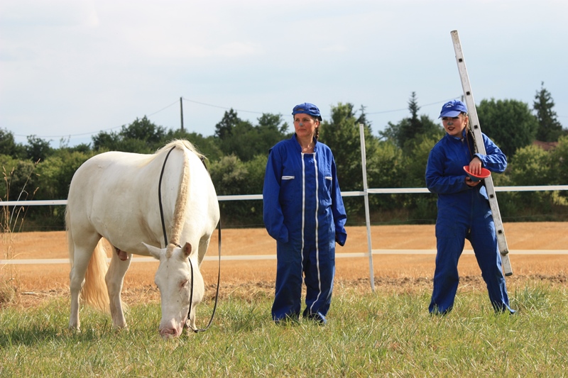 Cloture des spectacles 2013 (23)