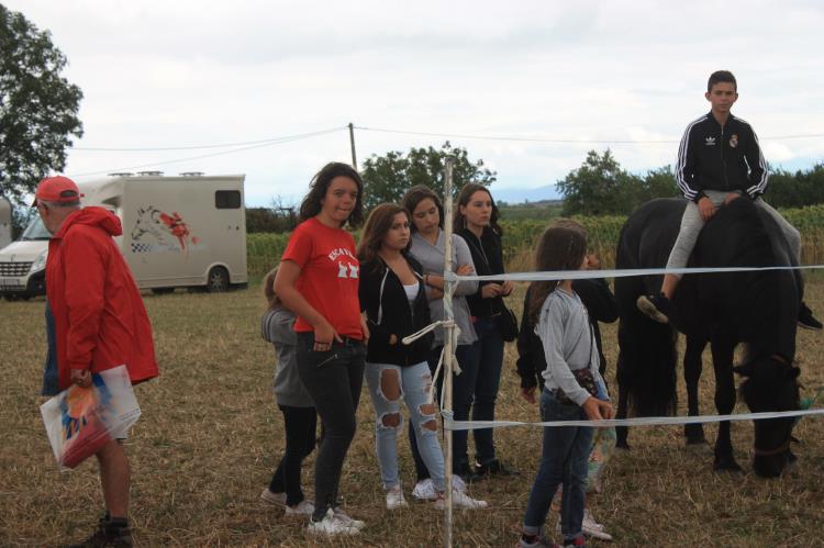 remise-des-prix-journee-cheval (34)