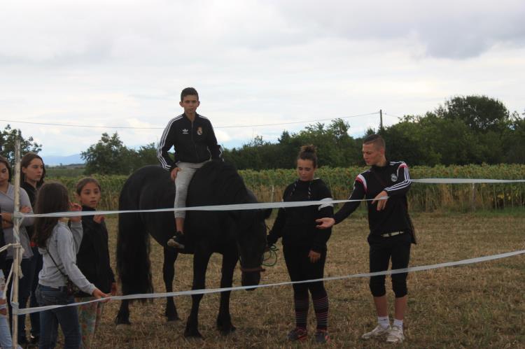 remise-des-prix-journee-cheval (33)