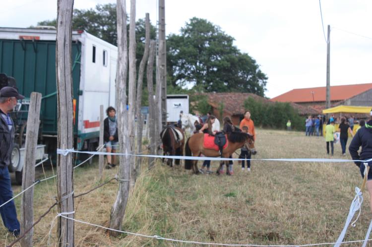 remise-des-prix-journee-cheval (59)