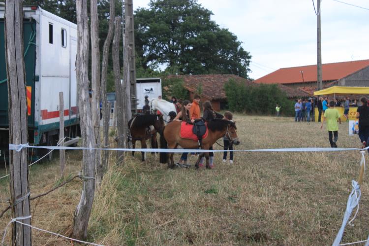 remise-des-prix-journee-cheval (57)