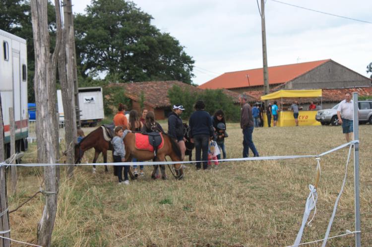 remise-des-prix-journee-cheval (63)