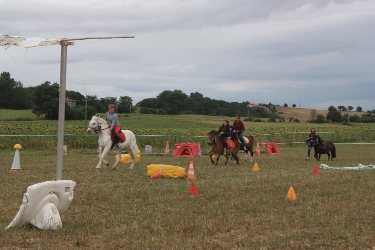 remise-des-prix-journee-cheval (79)