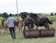 2012 - Le travail du sol