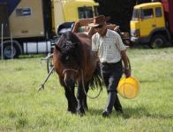 2012 - Les attelages