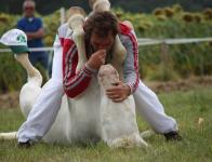 2012 - Les spectacles