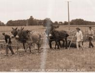 2012 - Retour dans le passe