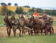 2013 - Les fêtes d'Escayre