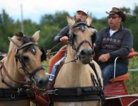 La journée de l'attelage - 2016