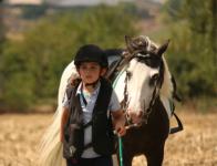 La journée de l'attelage - 2024