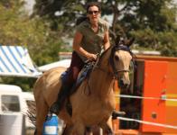 Chevaux, attelages et cavaliers