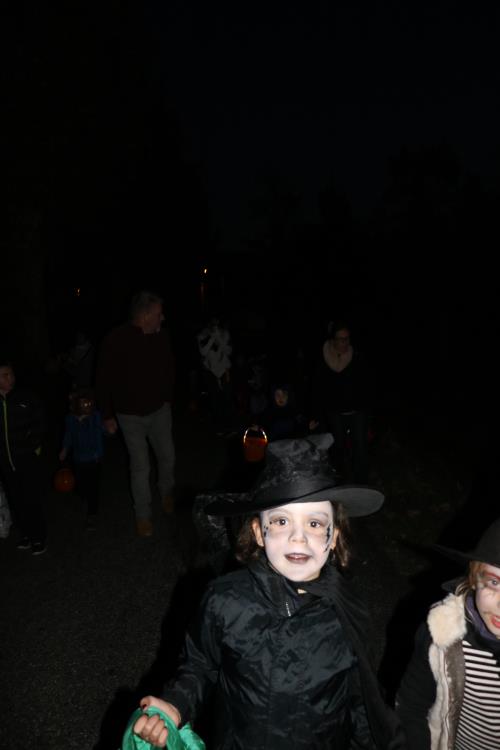 Gaillac-toulza-halloween-2017 (87)