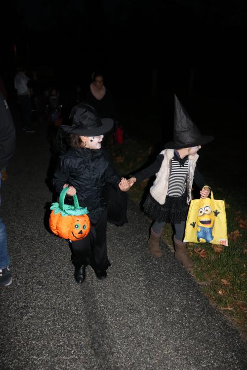 Gaillac-toulza-halloween-2017 (86)