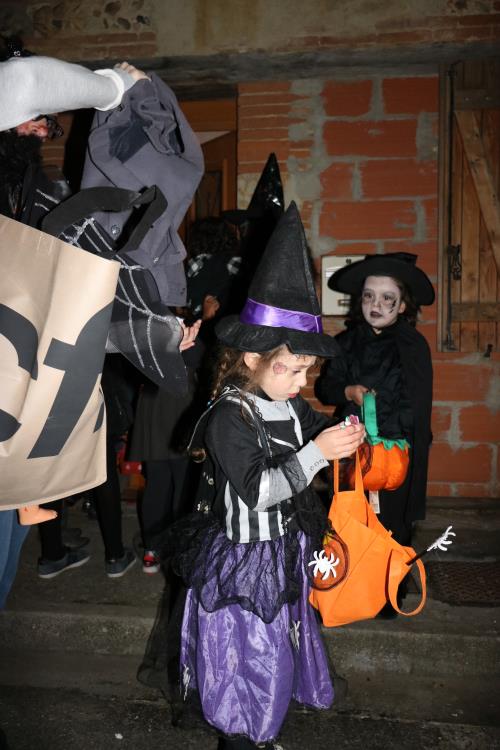 Gaillac-toulza-halloween-2017 (94)